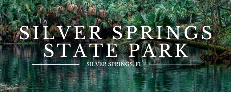 11 Hidden Gems in Florida, by Florida Family Adventures. Gem #1 Silver Springs State Park.