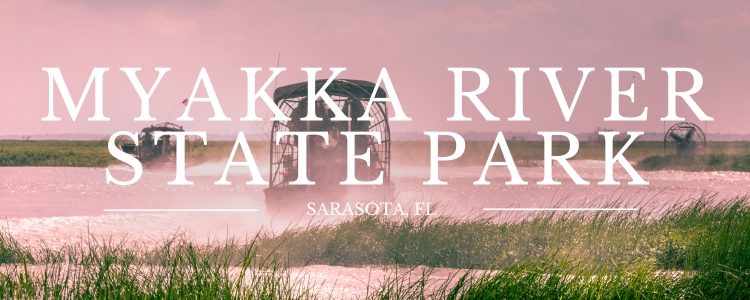 11 Hidden Gems in Florida, by Florida Family Adventures. Gem #5 Myakka River State Park.