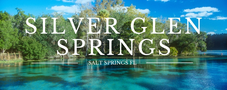 11 Hidden Gems in Florida, by Florida Family Adventures. Gem #6 Silver Glen Springs.