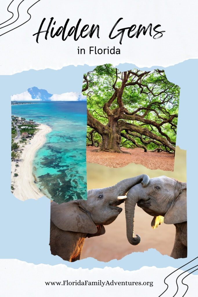 Uncover Florida’s hidden treasures: Scenic views, nature escapes, and local secrets