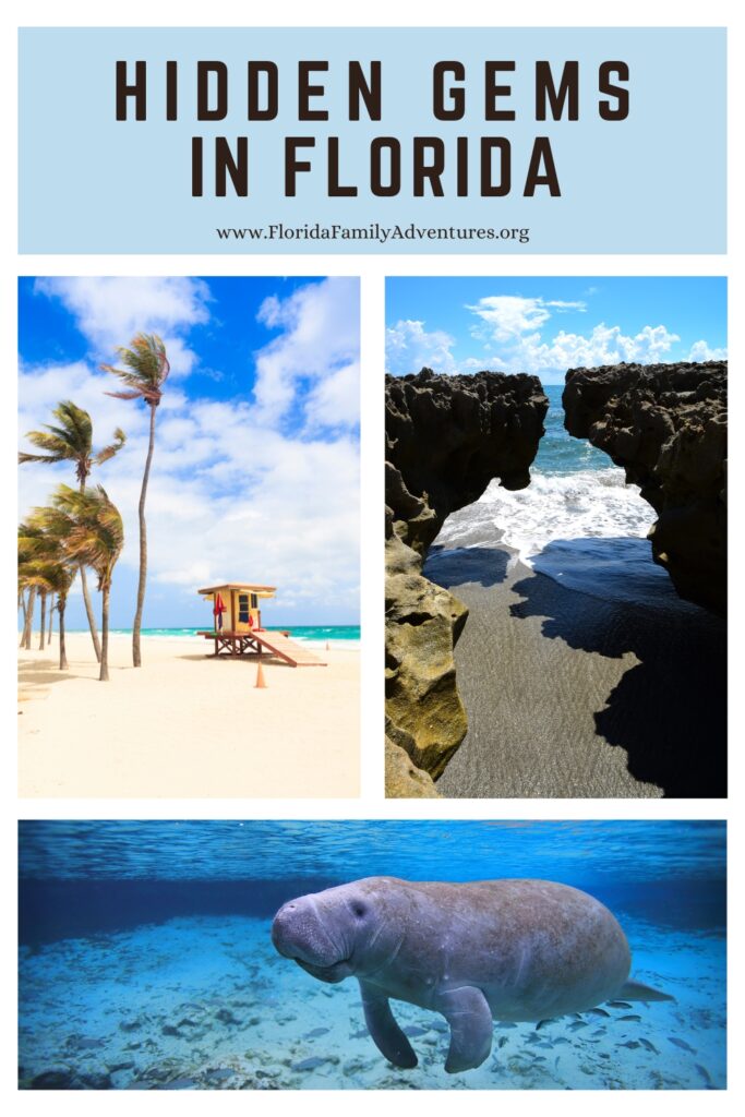 Hidden gems in Florida: Discover the beauty of secluded beaches and natural wonders